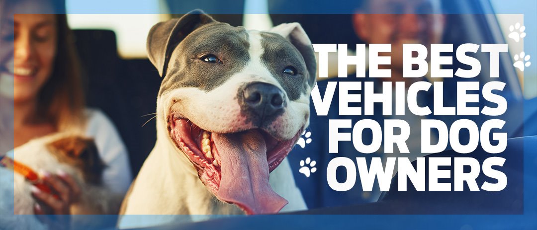Which Ford is the best for dog owners?